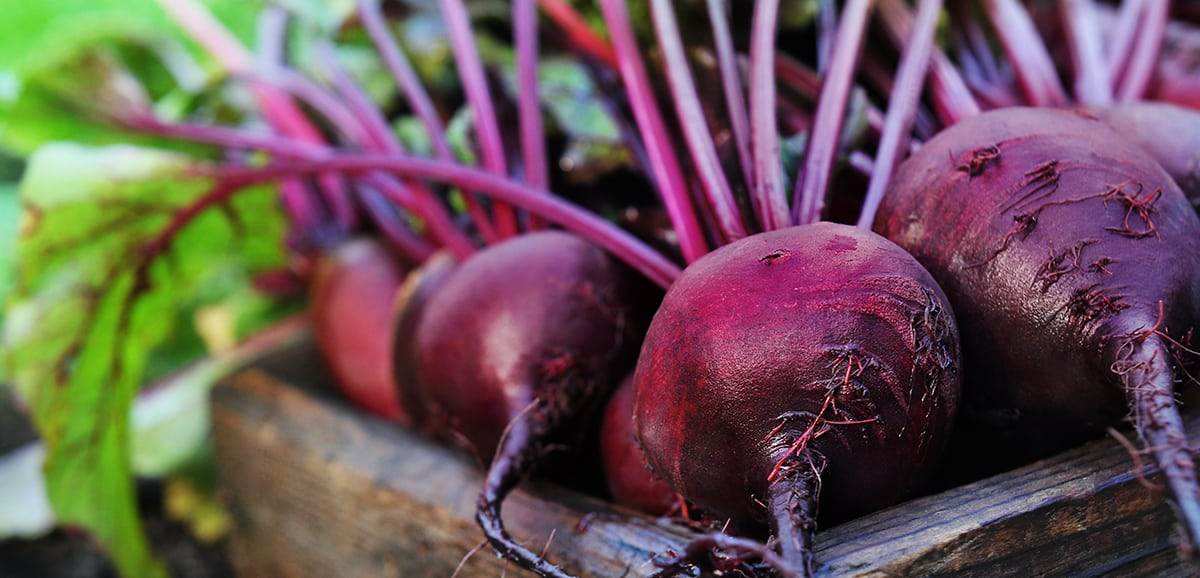 beet