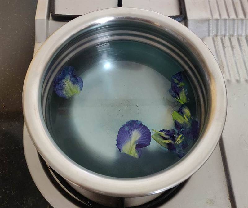 blue butterfly pea in water