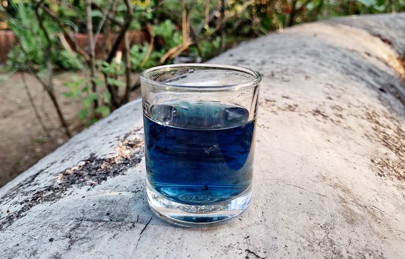 butterfly pea tea