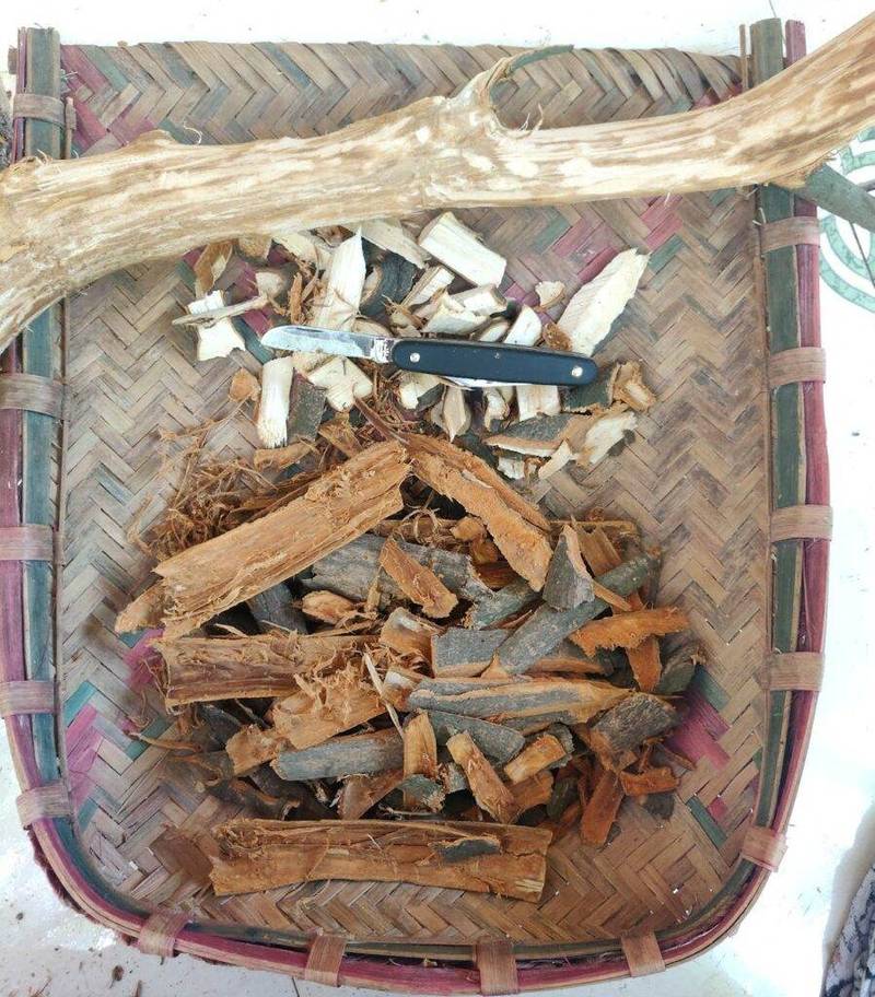 cinnamon sticks