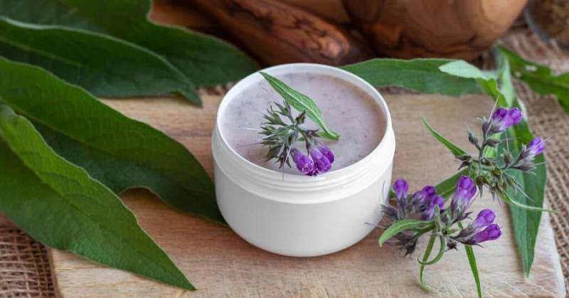 a jar of homemade comfrey root ointment with fresh blooming symp