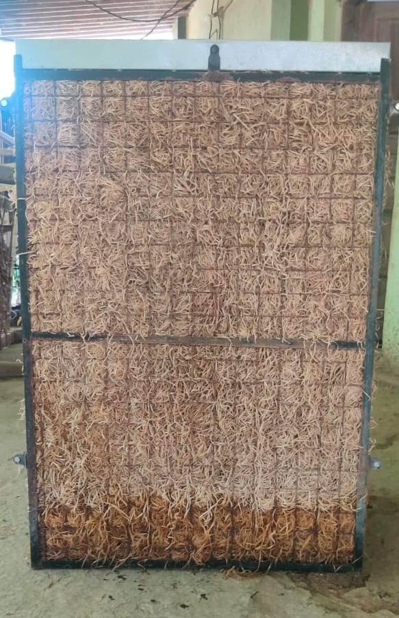 desert cooler vetiver roots