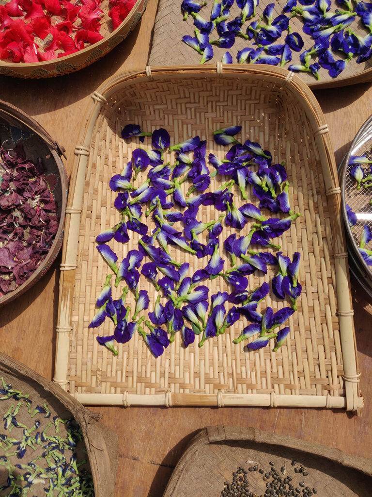 dried butterfly pea flowers