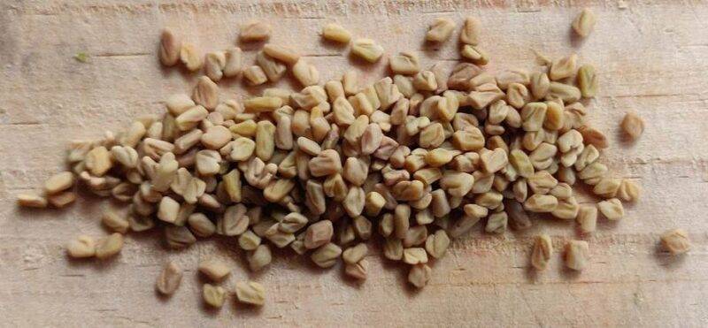 fenugreek seeds