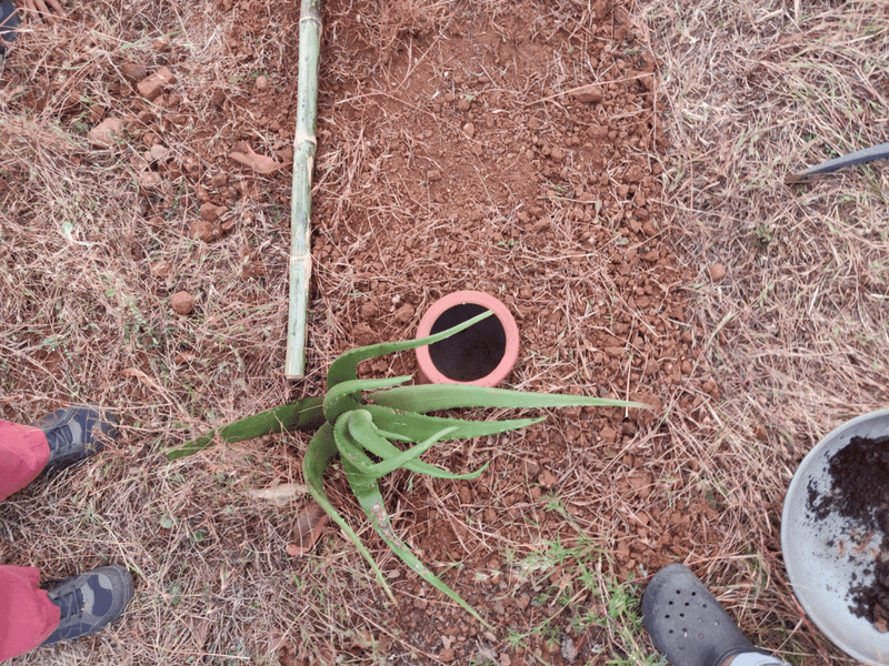 backfilling and pressing soil