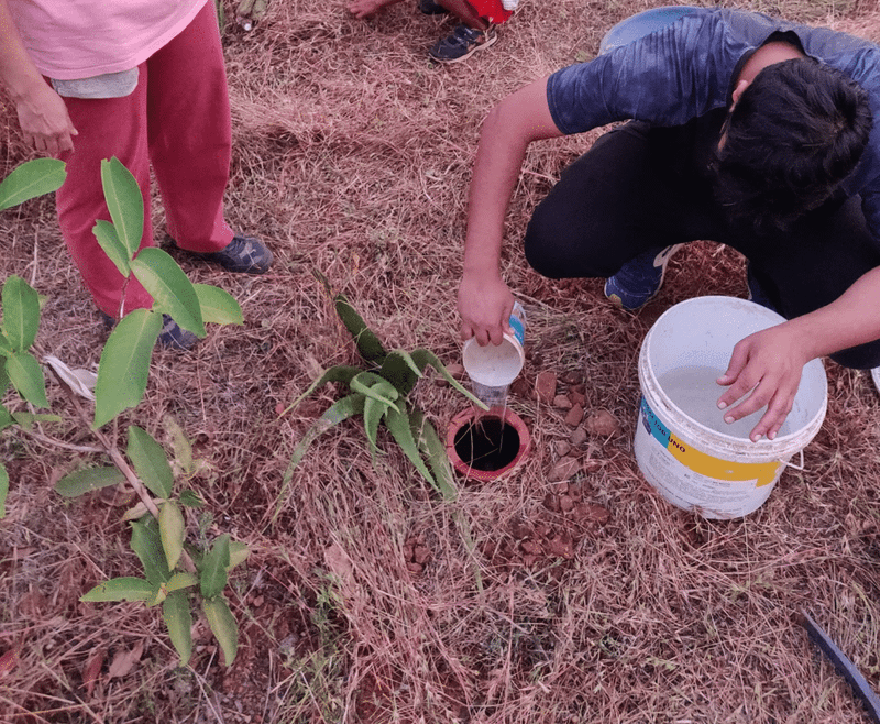 refilling pitcher irrigation