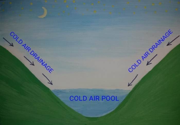 microclimates (2)