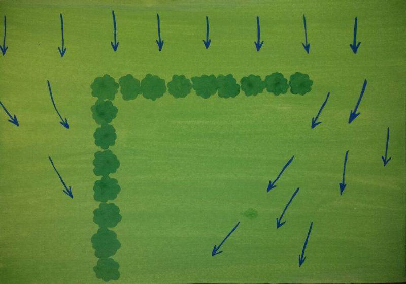 microclimates (23)