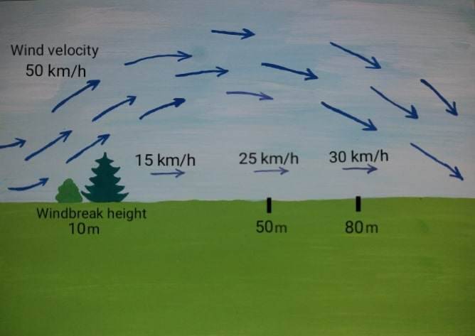 microclimates (7)