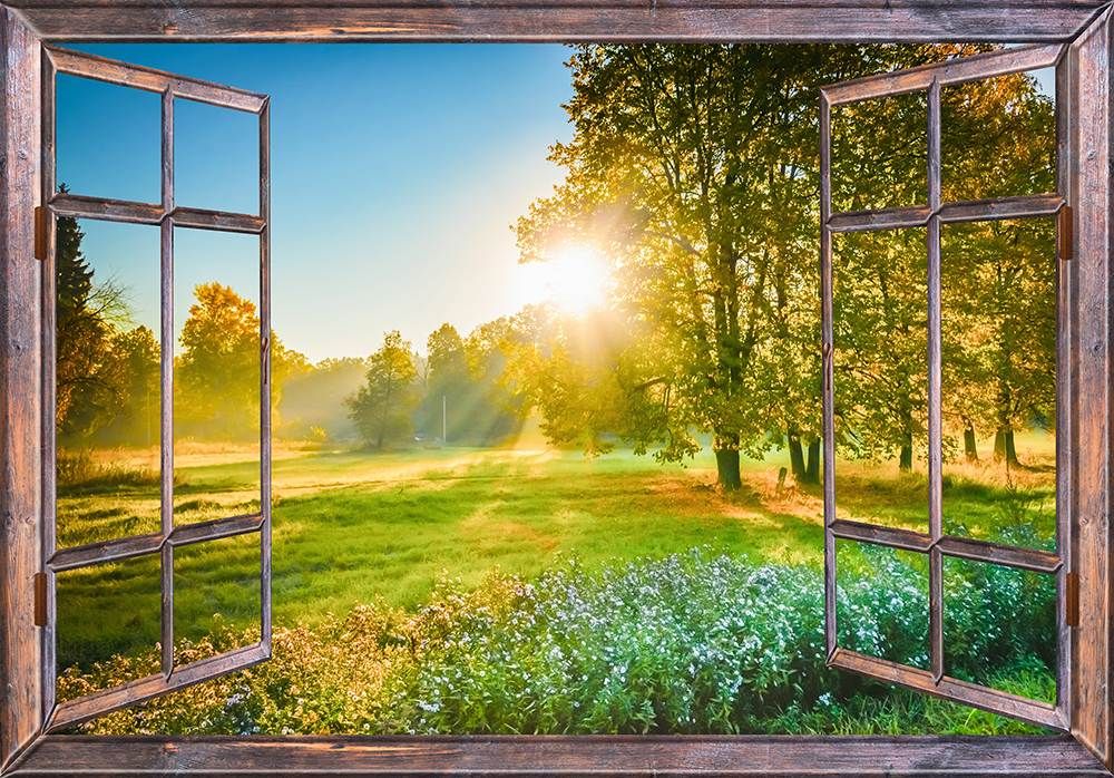 Finding the Sun's Path Over Your House