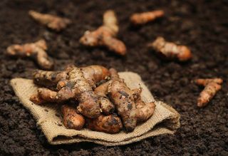 Turmeric