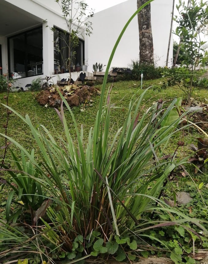 img 20210112 150054