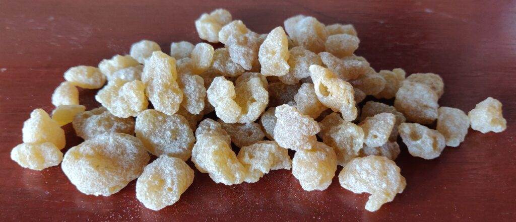 boswellia serrata gum resin