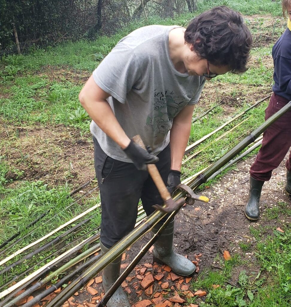 bamboo splitter