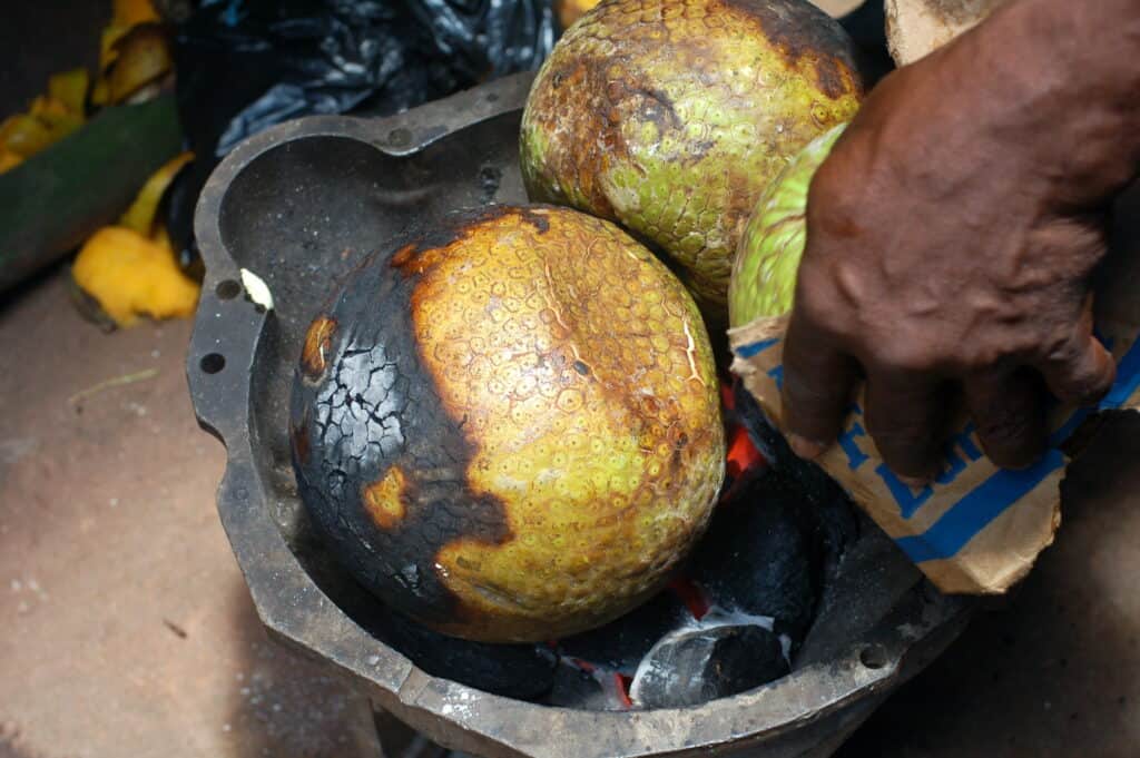 breadfruit (4)