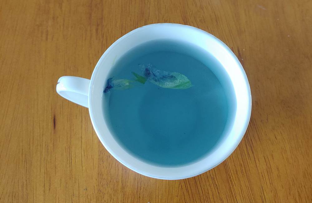 cup butterfly pea tea