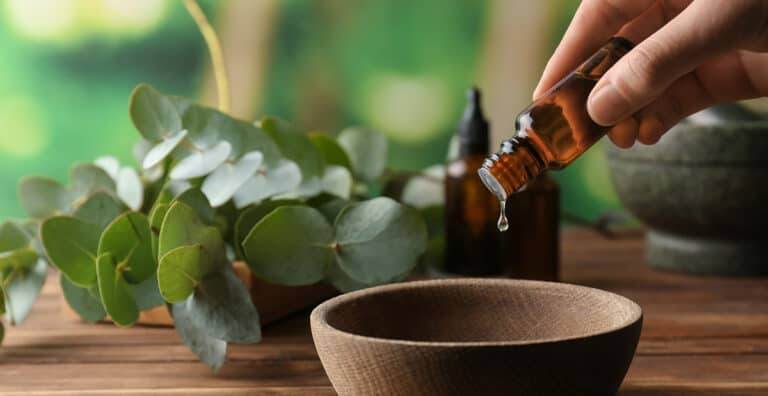 woman pouring eucalyptus essential oil into bowl on wooden table
