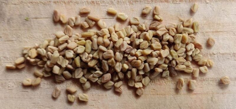 fenugreek seeds