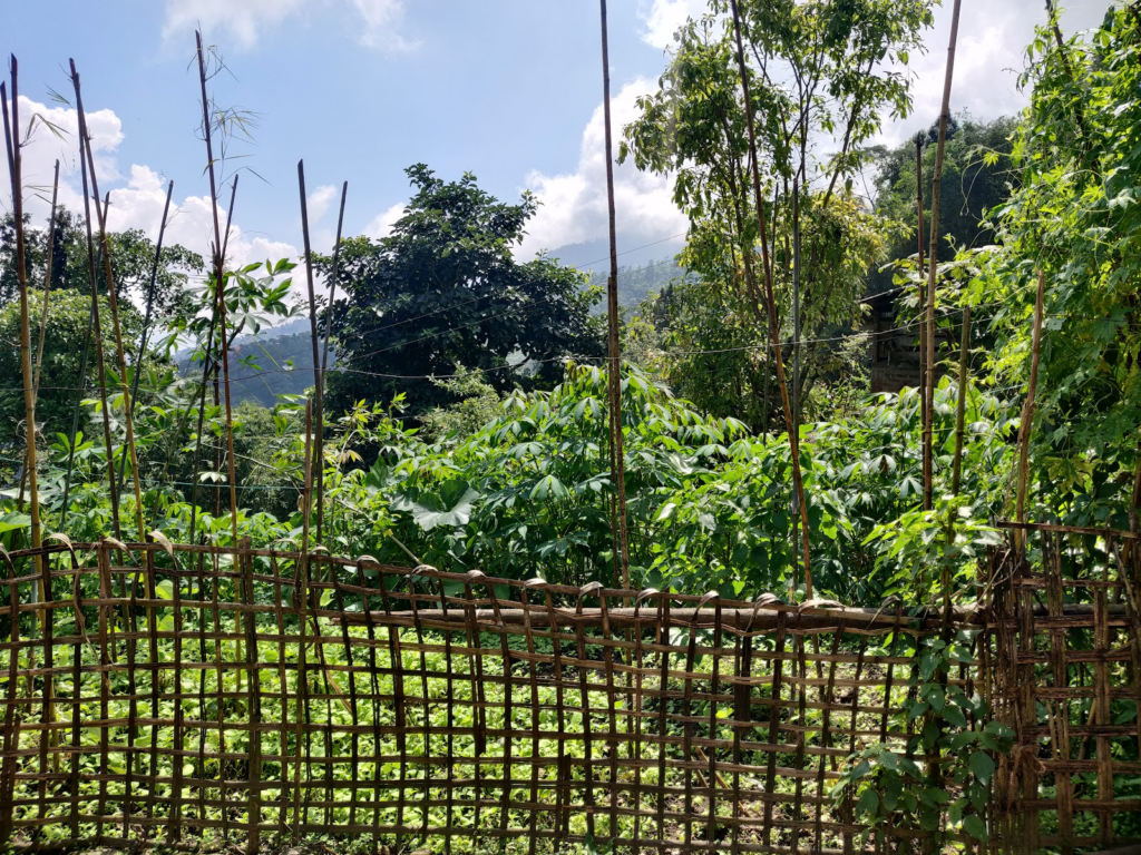 temporary dry bamboo frame-based fence