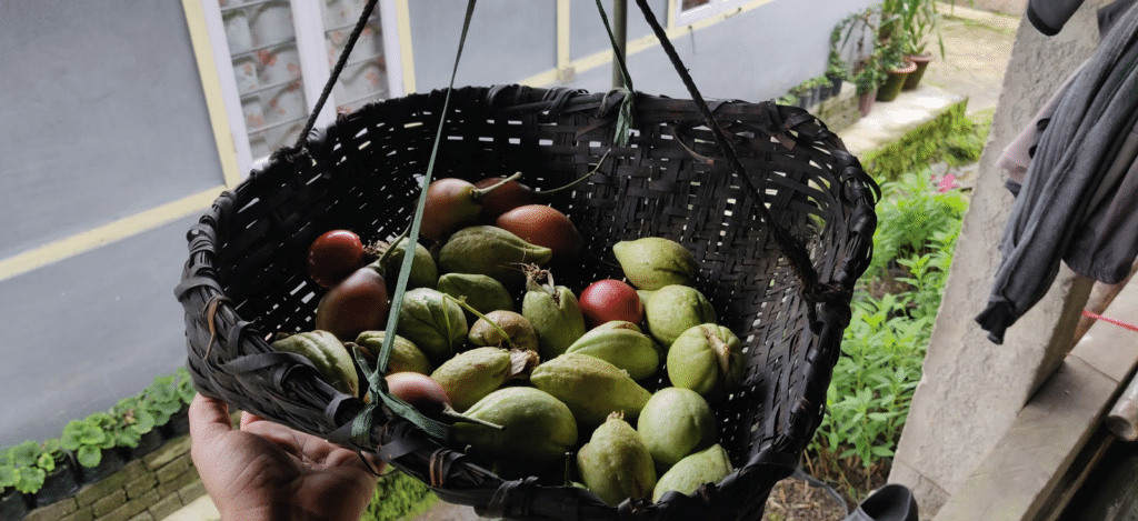 tomatoes and squash hung in a bamboo basket