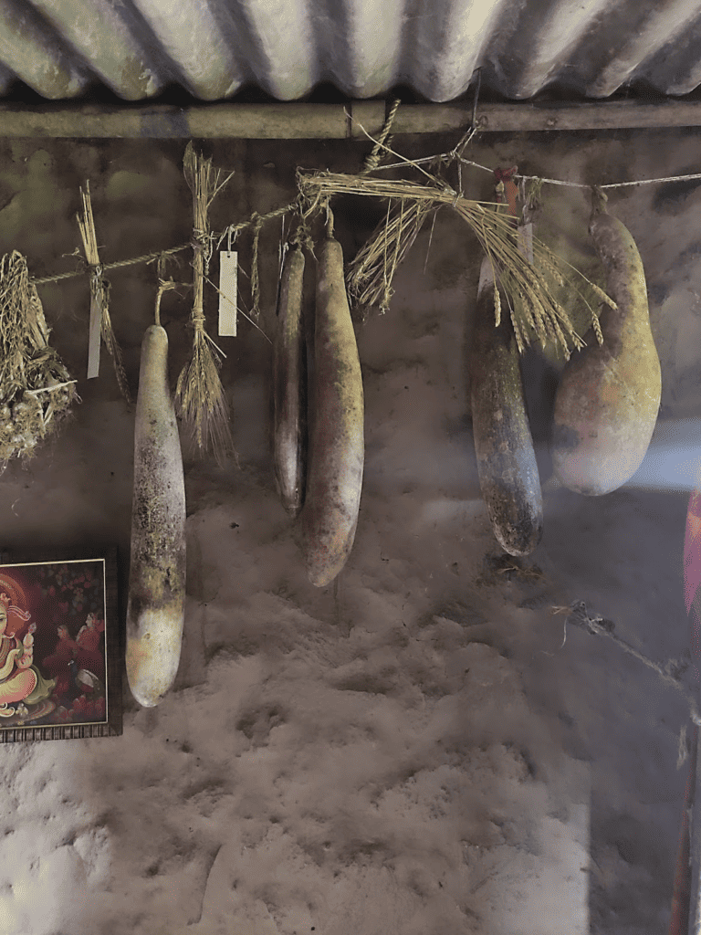 gourds, millets, wheat, and garlic hung on a string
