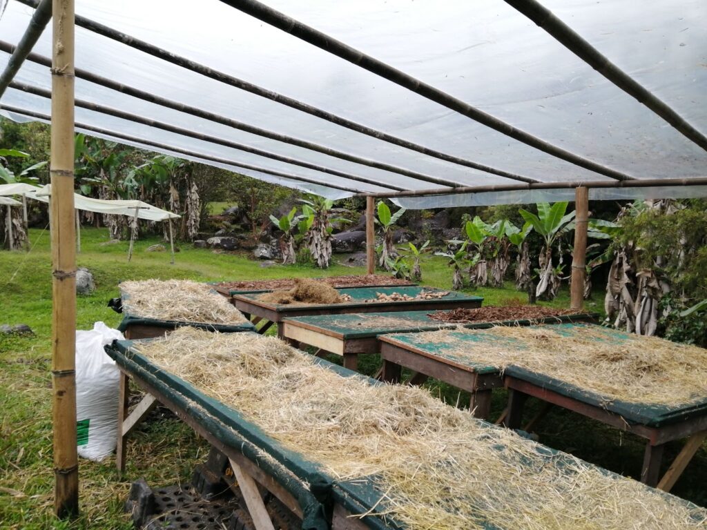 bamboo dry house
