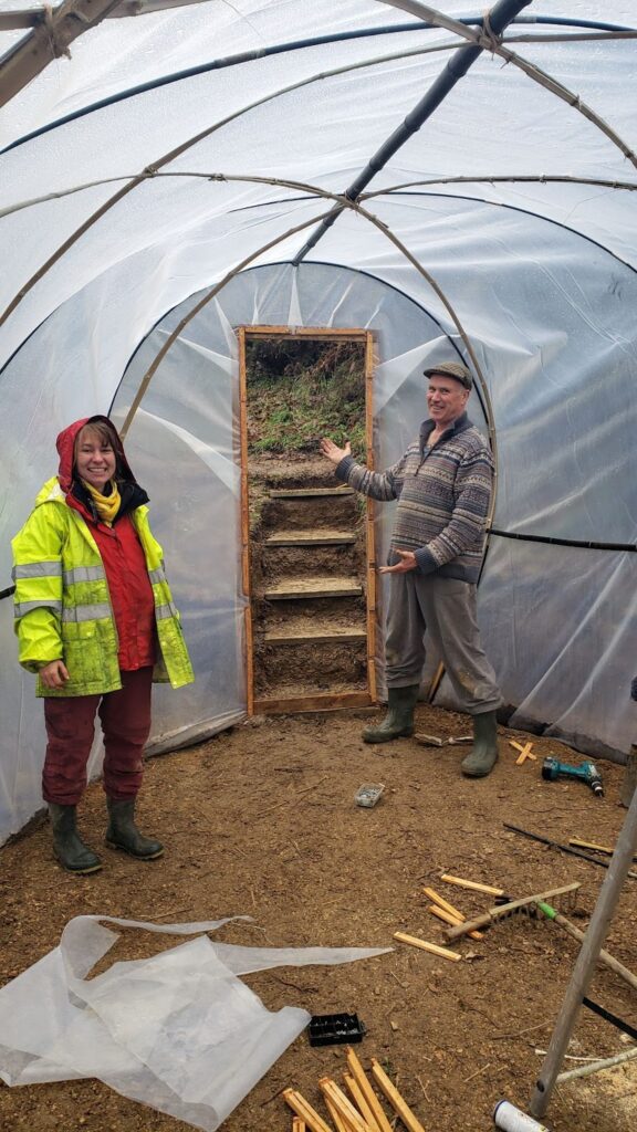 bamboo slats greenhouse