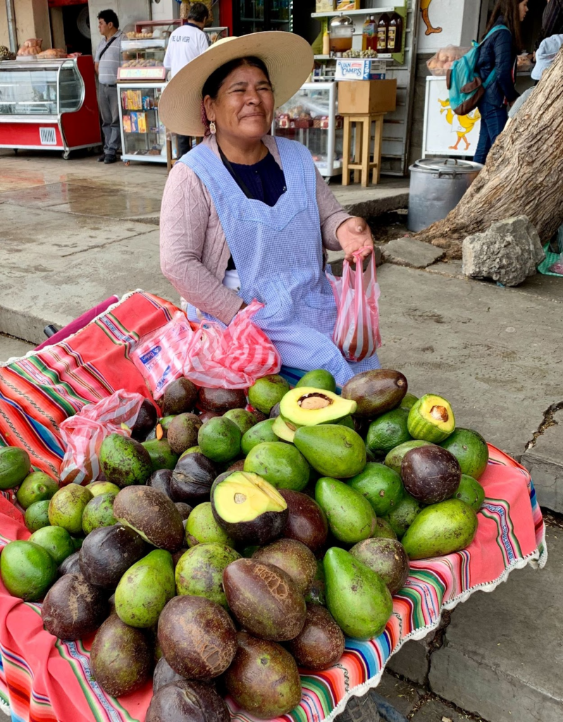 low land heirloom avocado