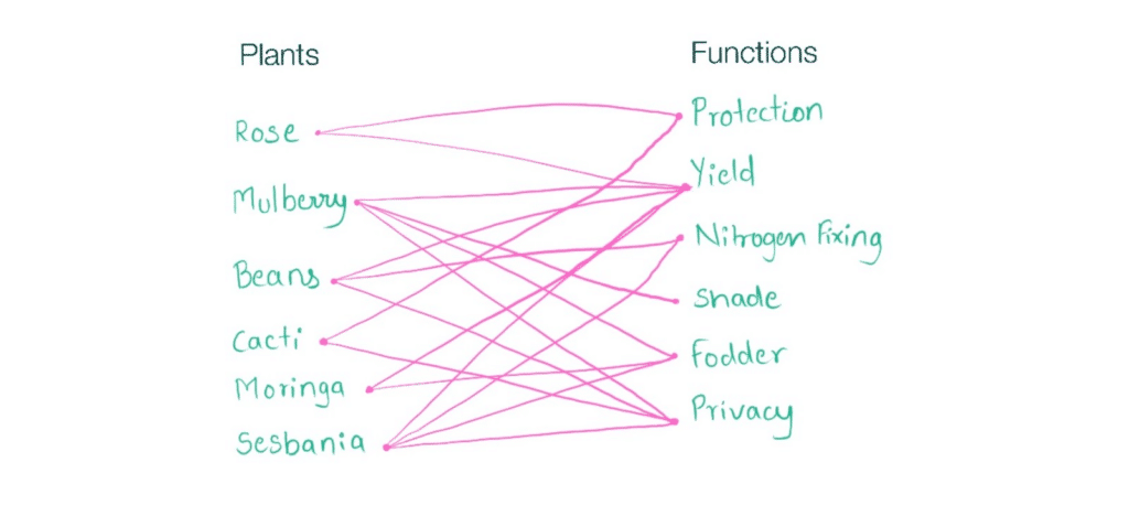 matching plants with their function
