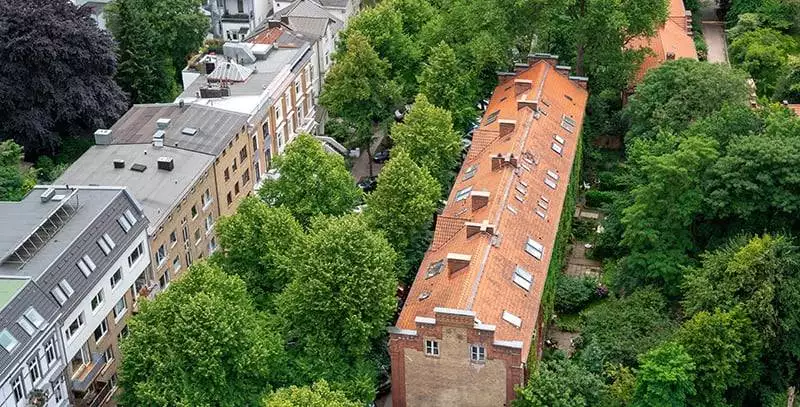 top view of a street canyon filled with trees in hamburg, german