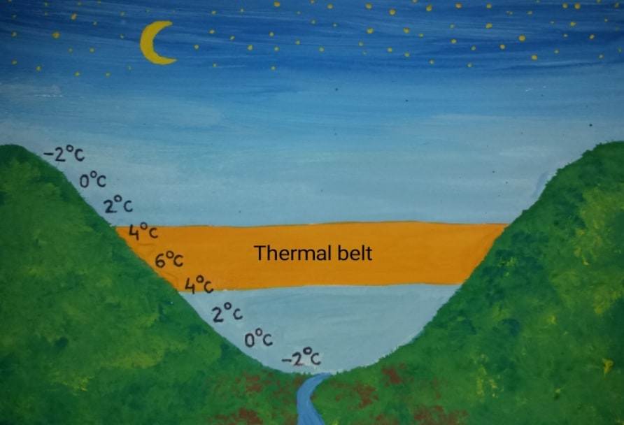 microclimates (1)