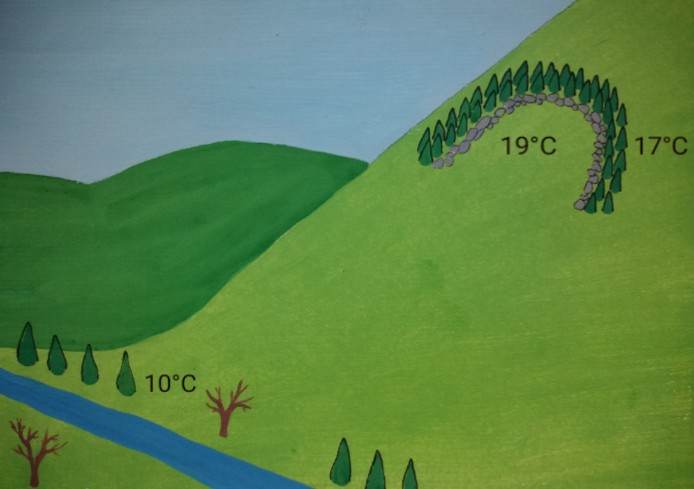 microclimates (12)