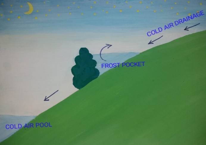 microclimates (16)