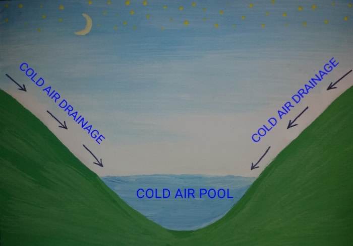 microclimates (2)