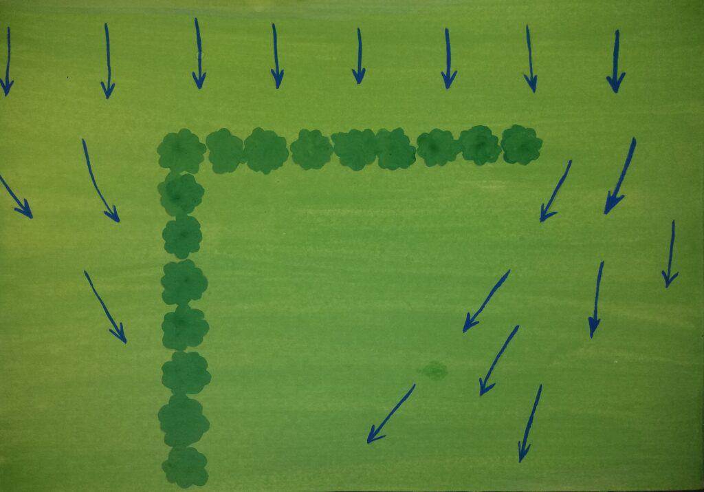 microclimates (23)