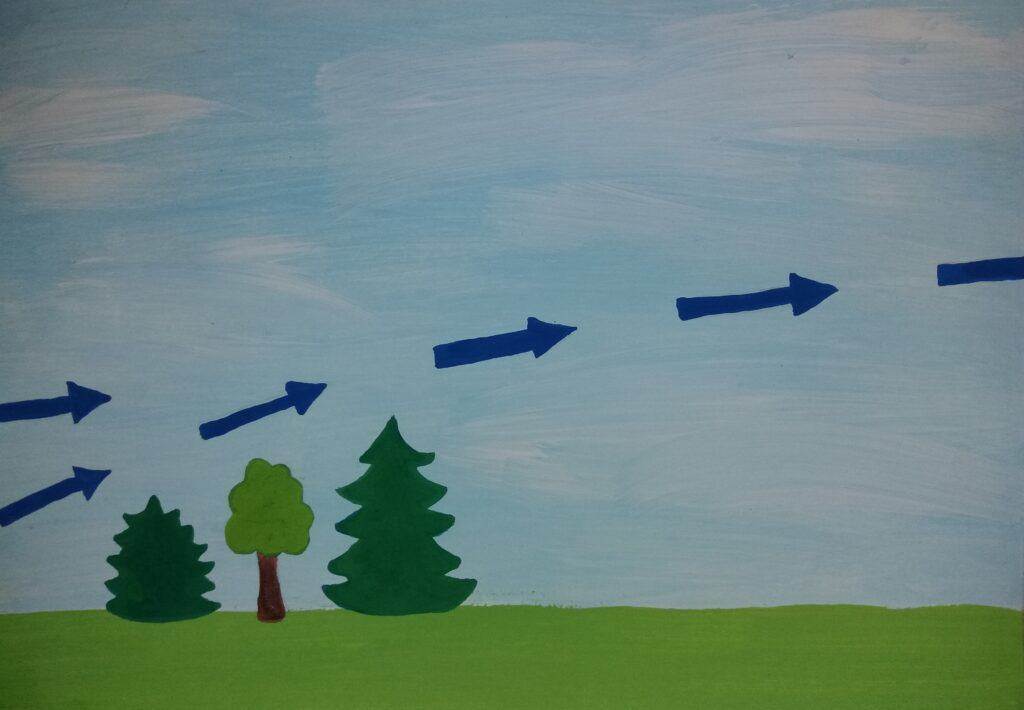 microclimates (29)