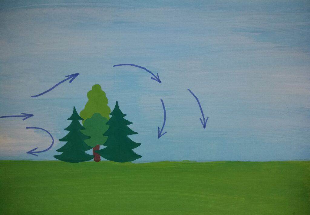 microclimates (30)