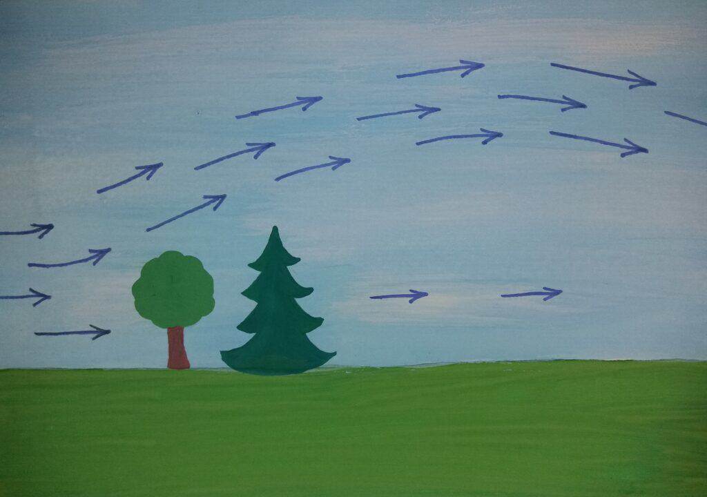 microclimates (31)