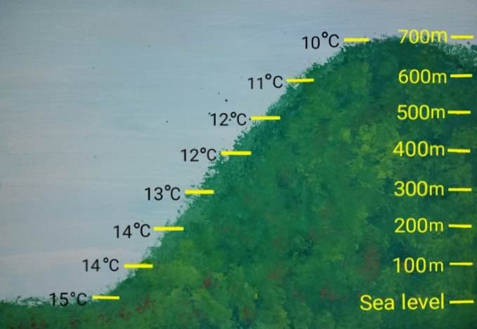 microclimates (5)