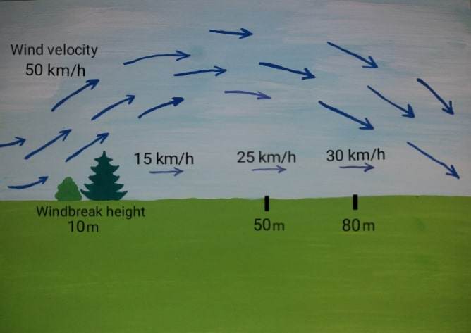 microclimates (7)
