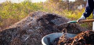 mulch for vegetable garden