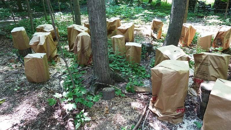 mushroom cultivation (23)