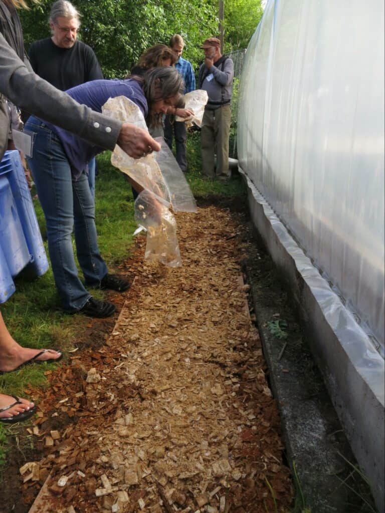 mushroom cultivation (5)