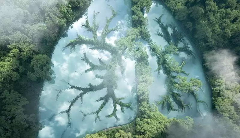 green lungs of planet earth. 3d rendering of a clean lake in a s