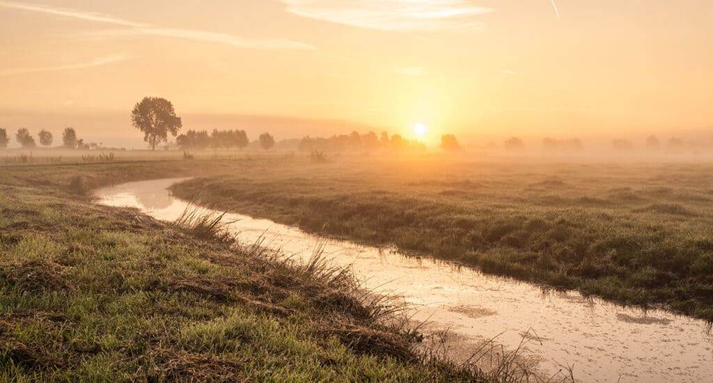 breathtaking shot of a dutch polder in a field and the rising sun in the background