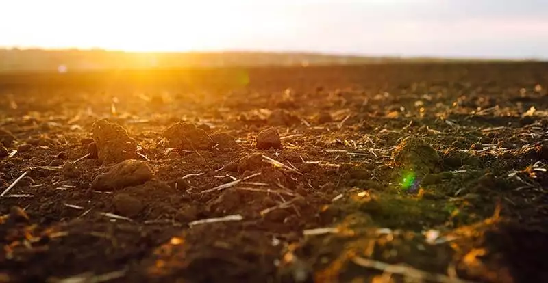 plowed field at sunset. agriculture, soil before sowing. fertile